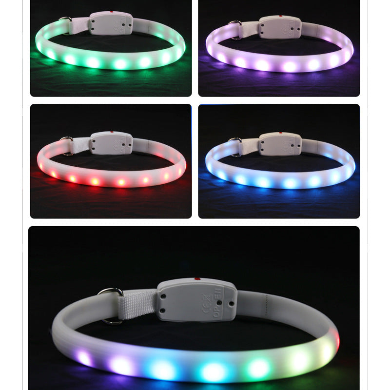 Pet Dog LED Glowing Collar