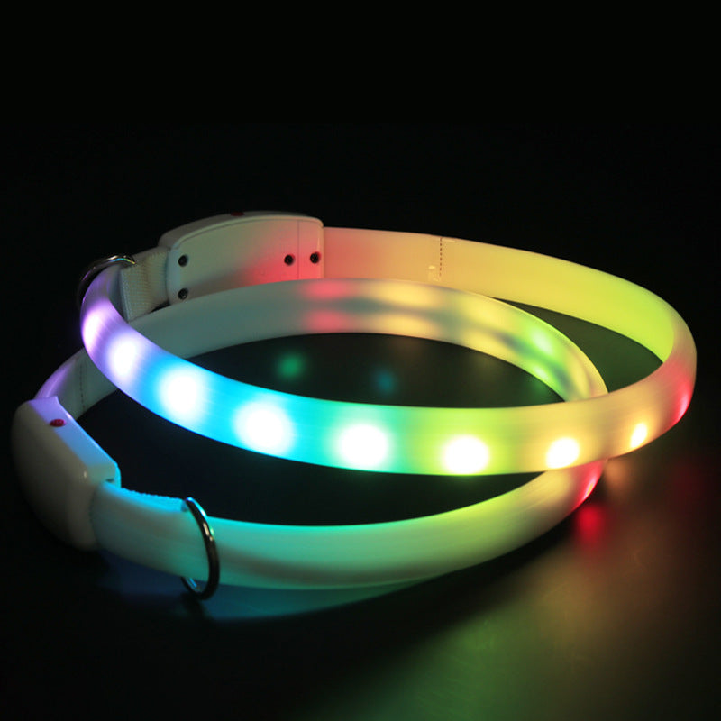 Pet Dog LED Glowing Collar