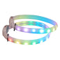 Pet Dog LED Glowing Collar