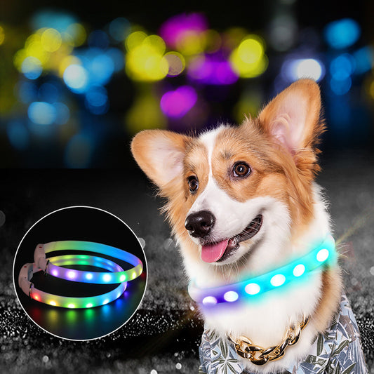 Pet Dog LED Glowing Collar